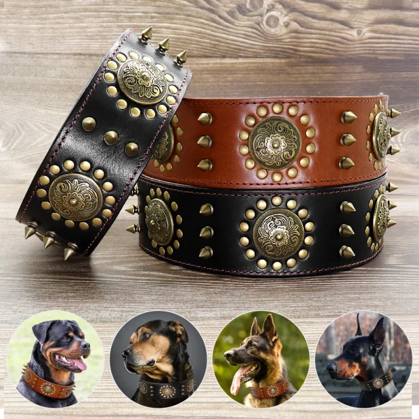 Leather Dog Collars